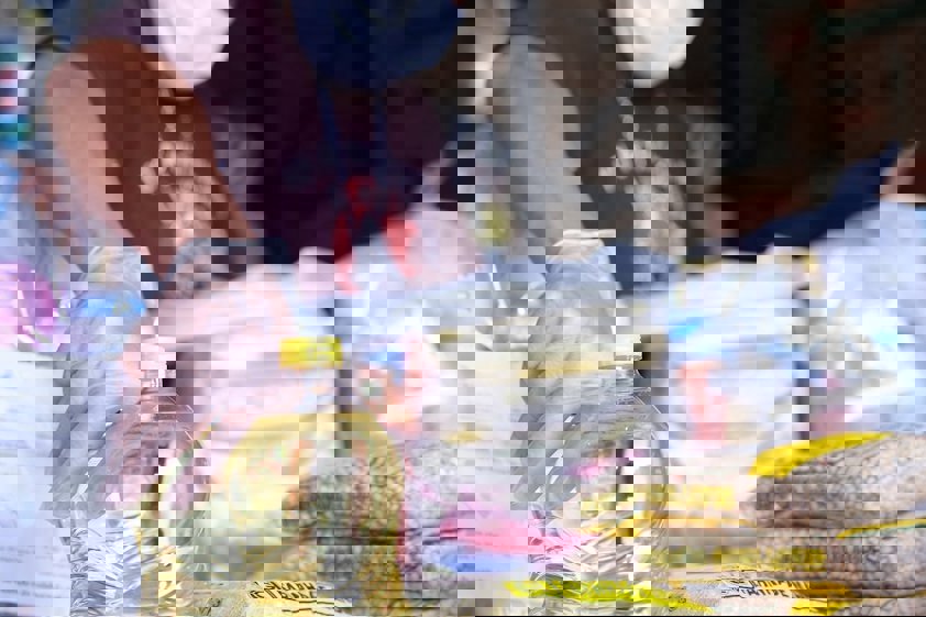 nova-doacao-cestas-basicas-contra-covid