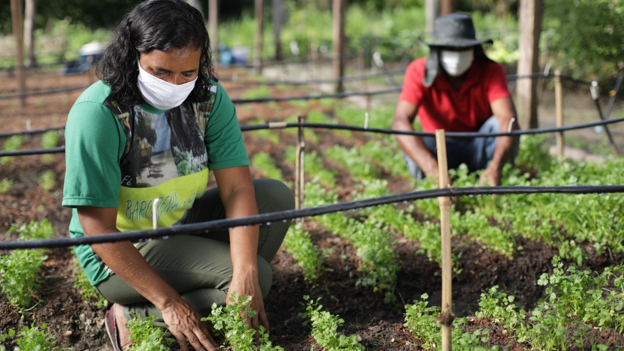 a couple of people in a garden