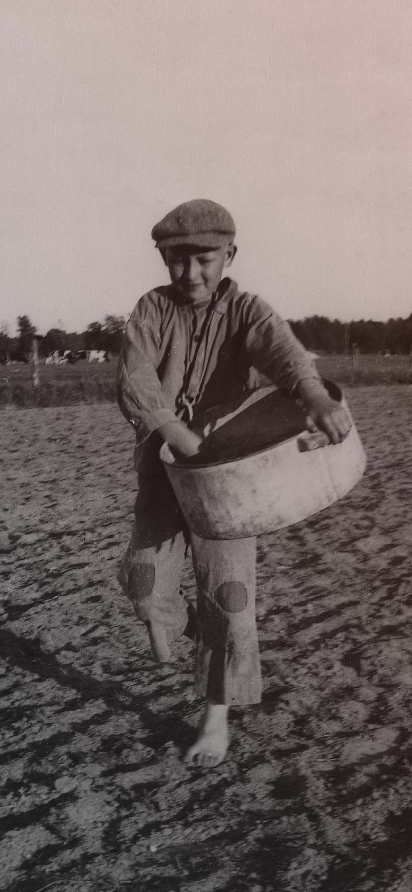 Boy sow seeds in a field